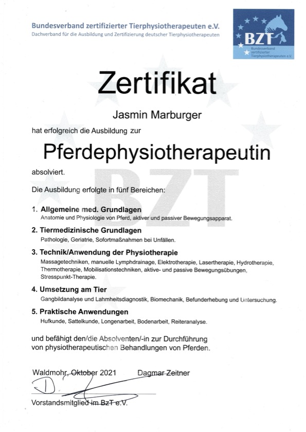 Zertifikat Pferdephysiotherapie